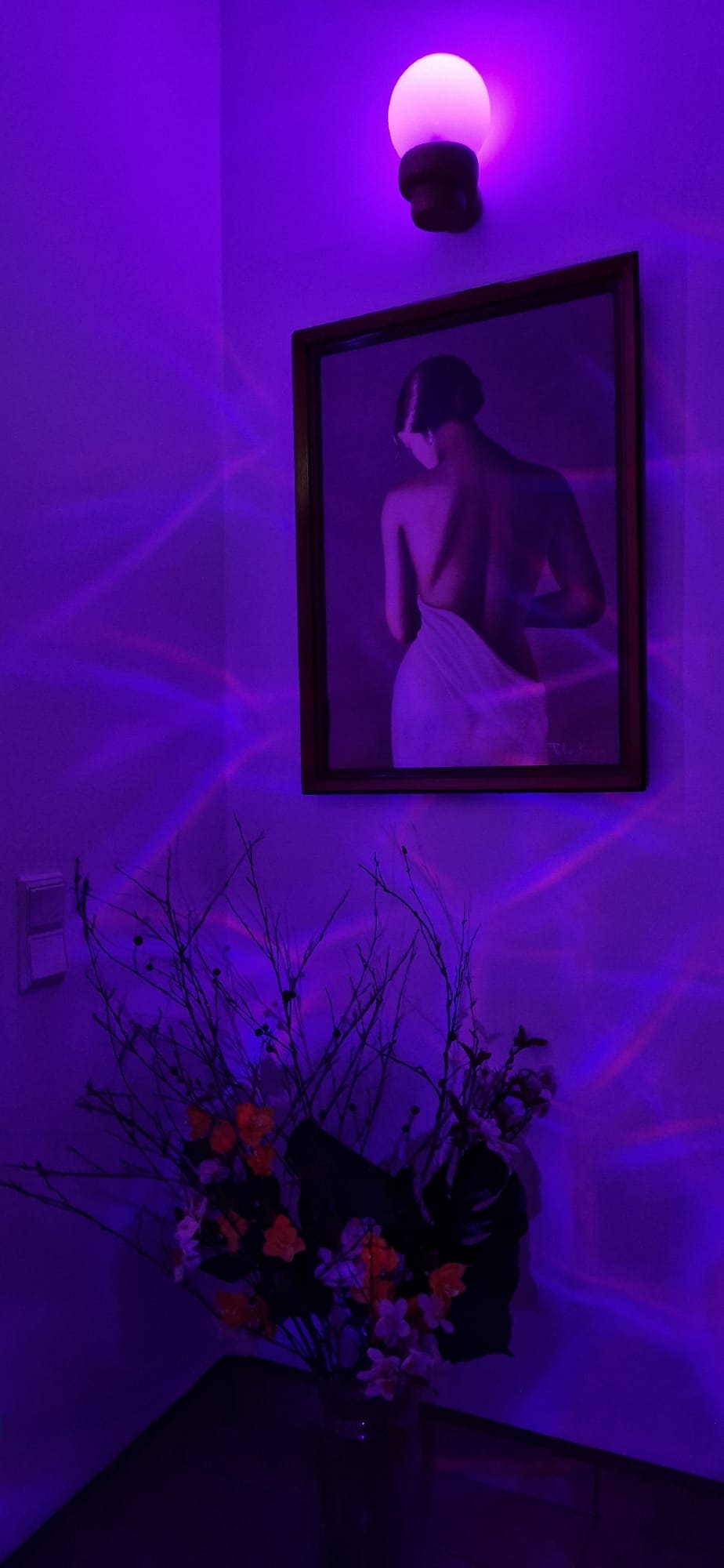 Erotic massage GIF — Velvet