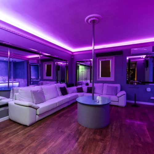 Sala Flowers Gentlemens club in Madrid - Venue photo 11 - Quality Gentlemens club experience in Spain