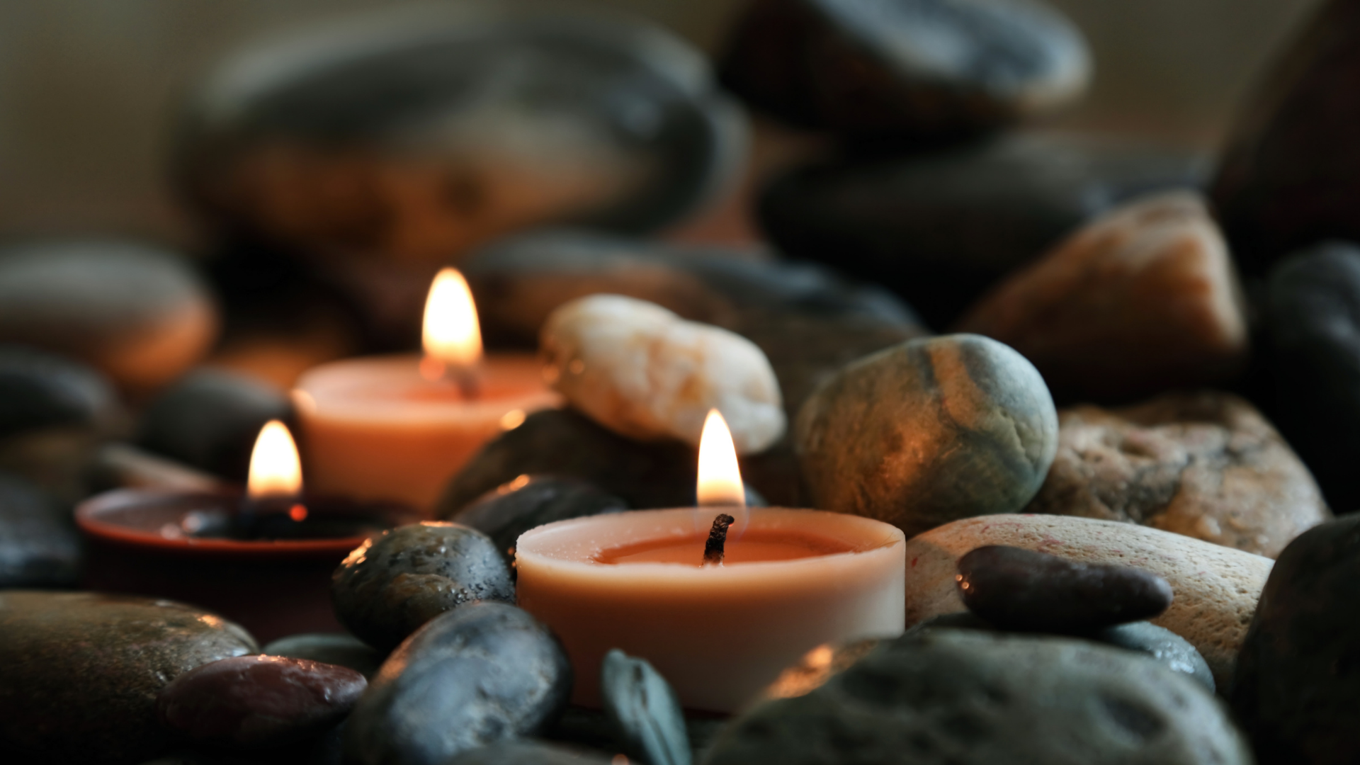 All of Zen institut Erotic massage in Toulouse - Venue photo 12 - Quality Erotic massage experience in France
