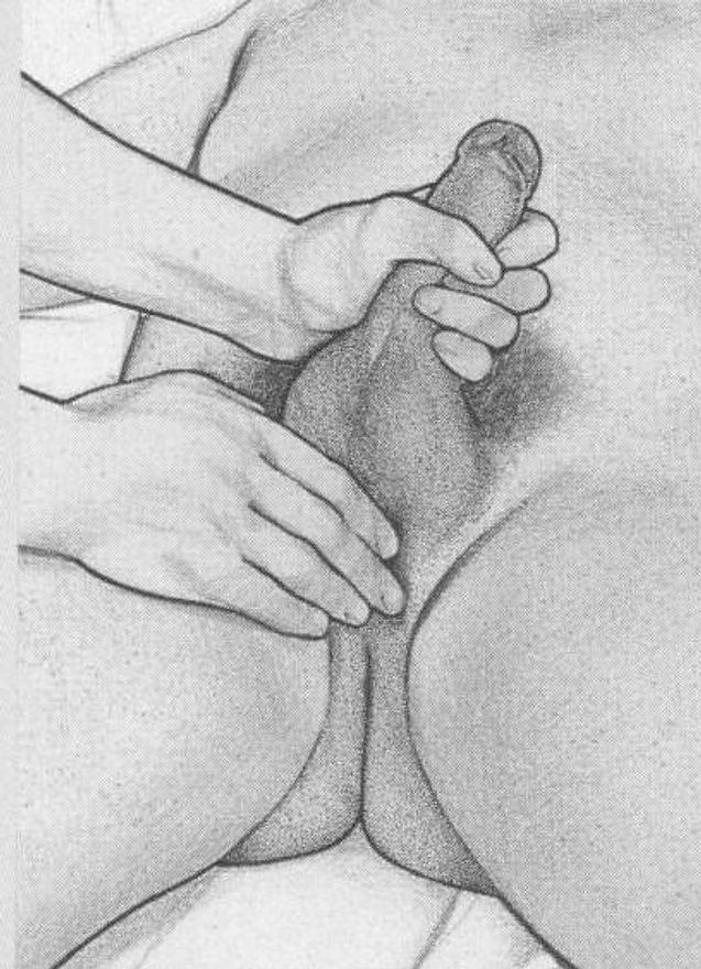 Erotic massage GIF — massage pro liege