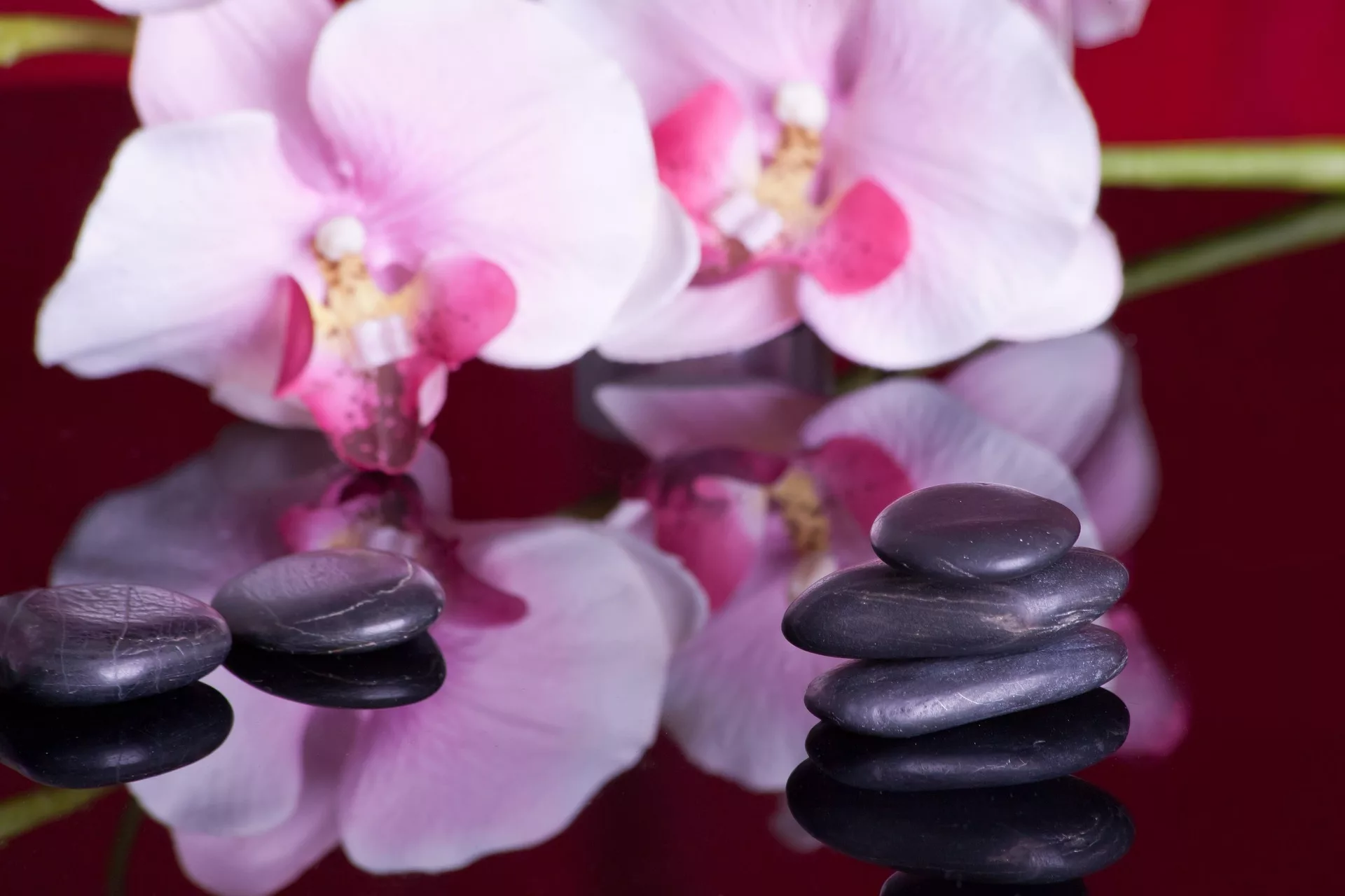 Salon Tantra Marseille, Massage Marseille