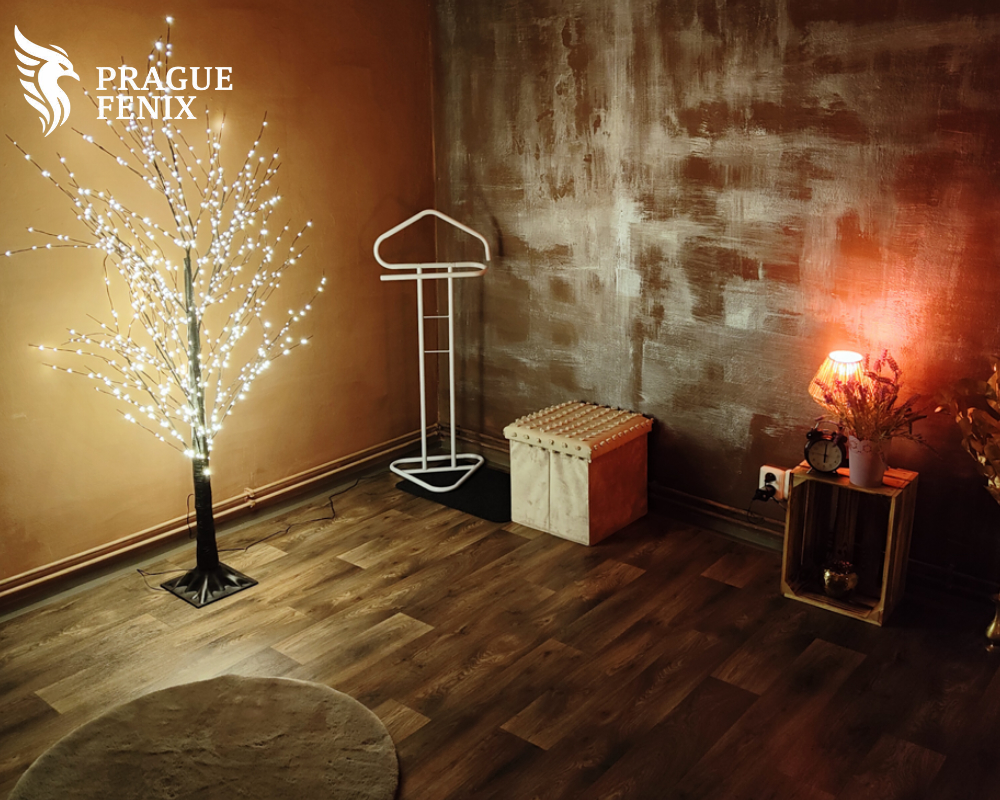 Erotic Massage Prague Fenix, erotic massage venue in Prague — photo 17